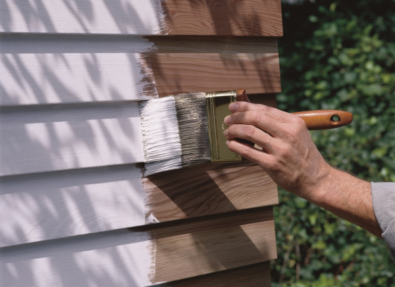 Как выбрать подходящую краску для фасада деревянного дома: полезные советы и виды красок