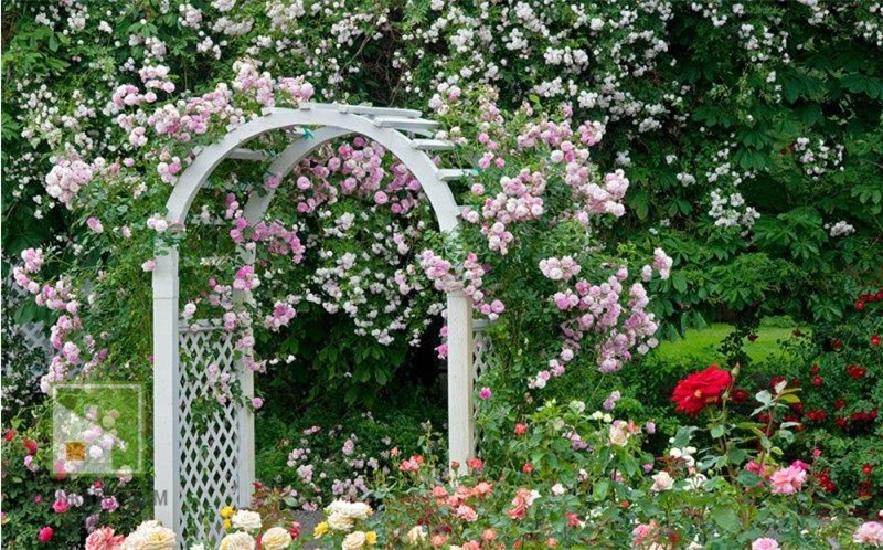 Арки садовые: преимущества, функционал, применяемые материалы, примеры на фото фото