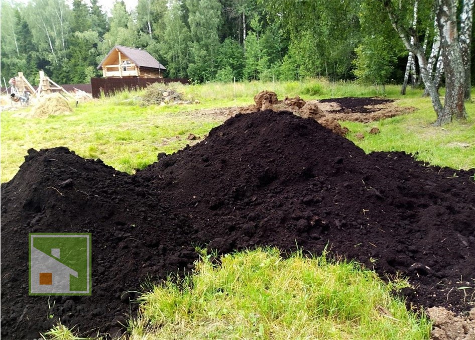Чернозем: какая это почва, свойства и особенности фото