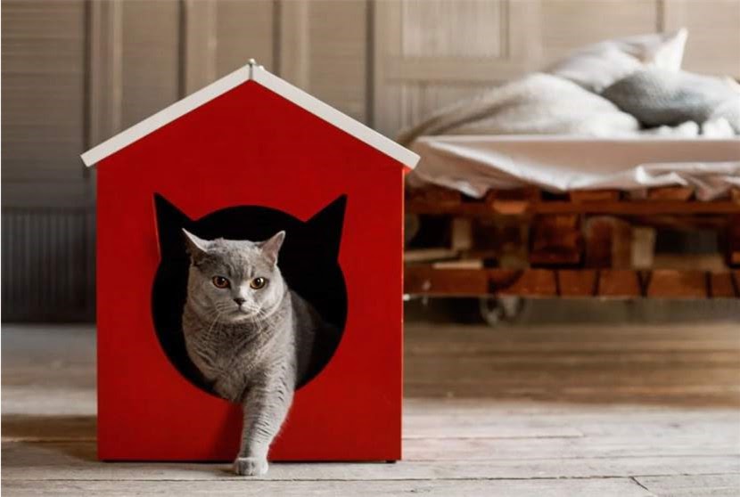 Домик для кошки своими руками: популярные варианты из разных материалов фото
