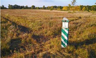 Проверка межевания участка по кадастровому номеру