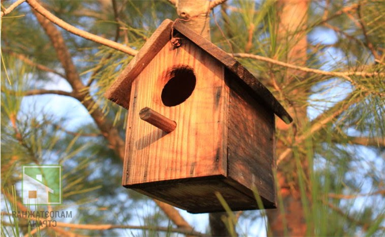Из чего и как сделать скворечник правильно: 5 способов изготовления домика для птиц