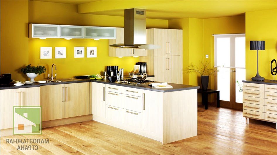Краска для оформления стен на кухне: выбор видов и оттенков фото