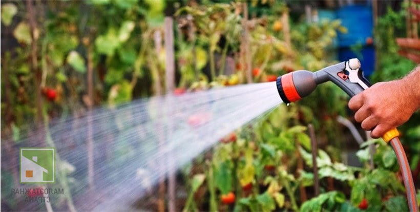 Мнение экспертов о том, можно ли поливать огород холодной водой фото