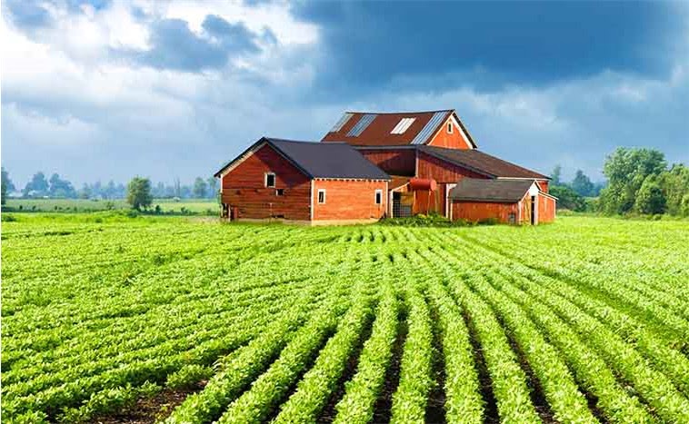 Можно ли строить дом на землях сельхозназначения – назначение с/х-земель, виды построек, ответственность