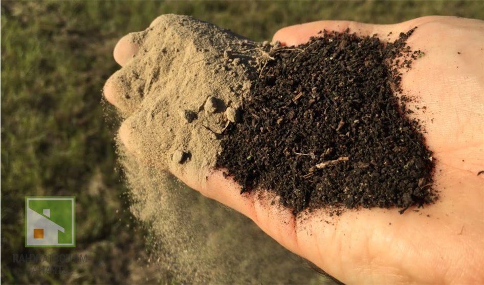 Песчаный грунт: виды, состав и область применения