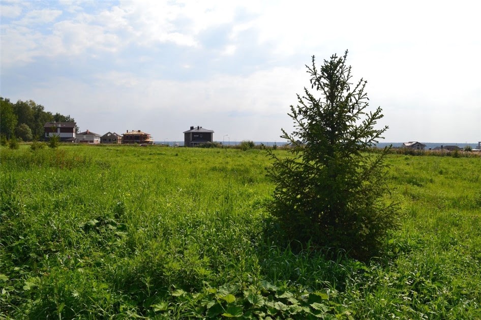 Коттеджный поселок «Клязьминский парк» фото