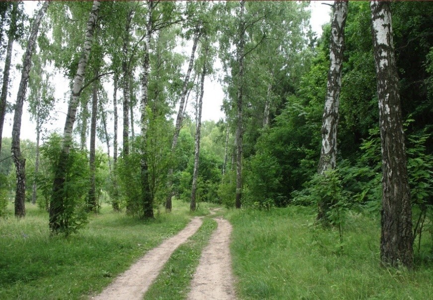 Коттеджный поселок «Красный берег» фото