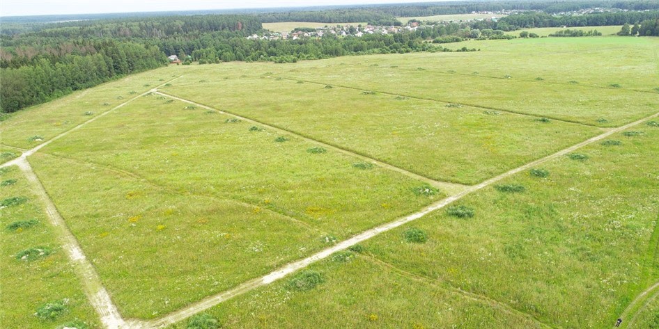 Коттеджный поселок «Романовские сады» фото