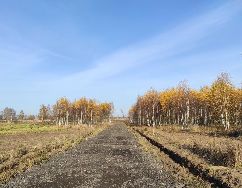 Коттеджный поселок «Старокупавинский Квартал» фото