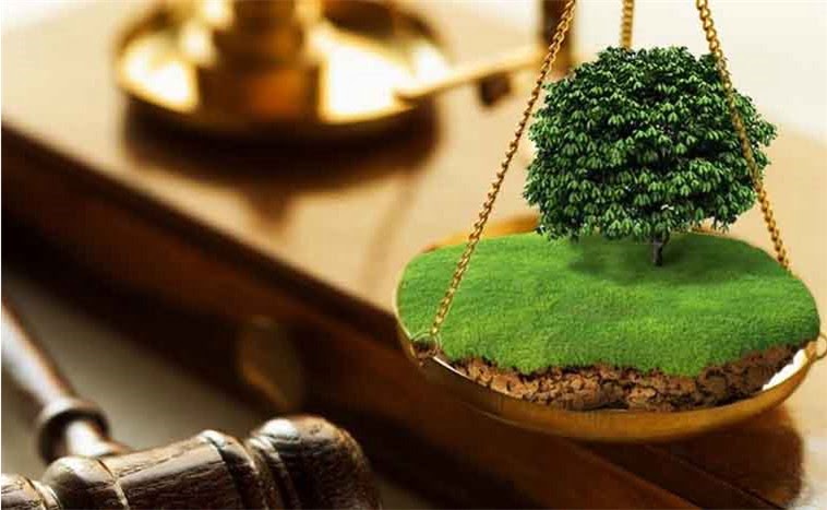 Судебная практика по земельным спорам: концепция и обзор проблемных вопросов