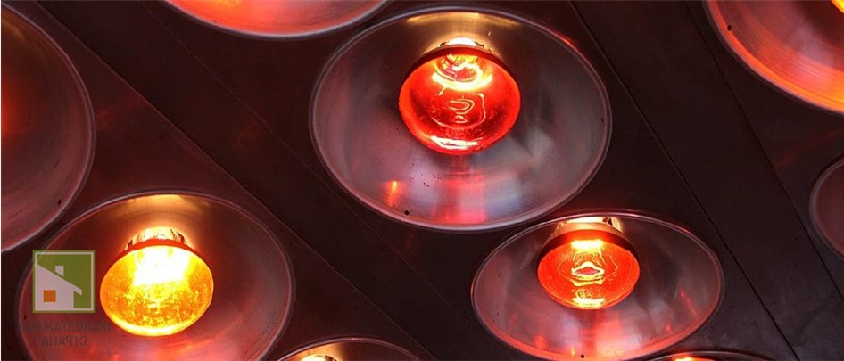 Все об инфракрасных лампах: от принципа действия до применения в разных сферах фото